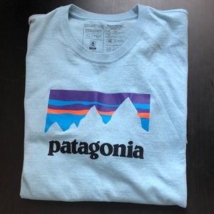 Light blue Patagonia Responsibili-tee